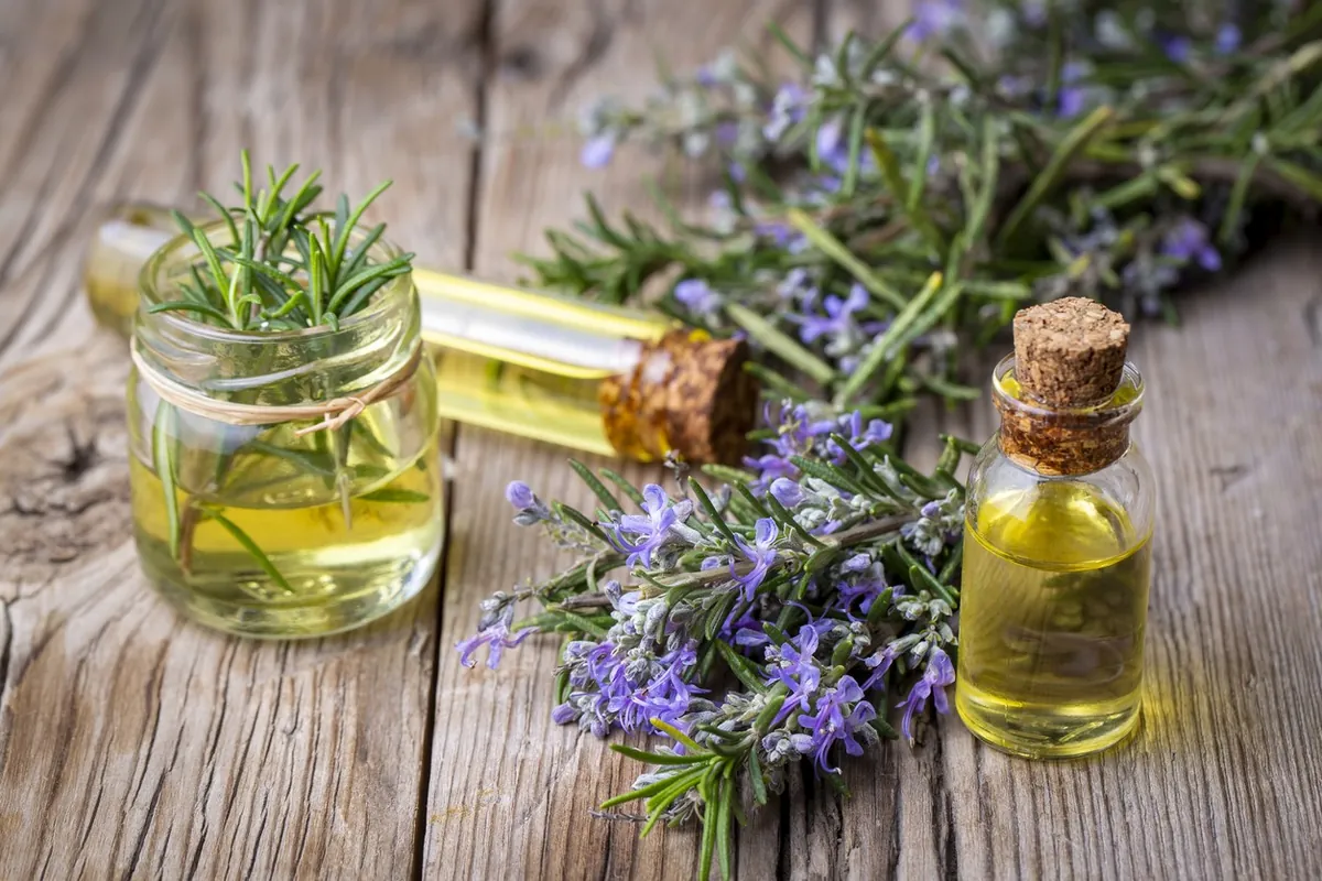 Rosemary and lavender with bottles of herbal extract